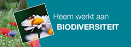 Heem Natuurontwikkeling