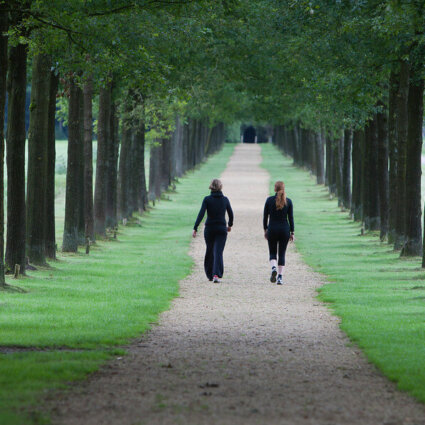 Kasteel Groeneveld