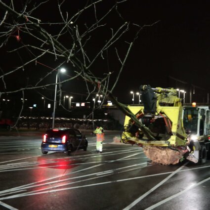 Boomverplanting Stekelbomen Utrecht