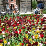 Rijksmuseum Amsterdam Groenonderhoud