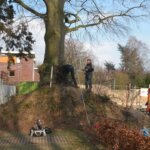 De veelzijdigheid van Boomverzorging