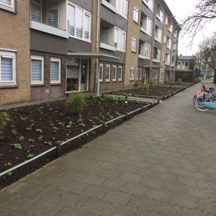 Renovatie Tuinen