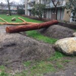 Renovatie Tuinen