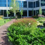 Realisatie buitenruimte kantorencomplex Lightline