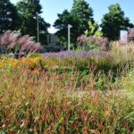 Realisatie buitenruimte kantorencomplex Lightline