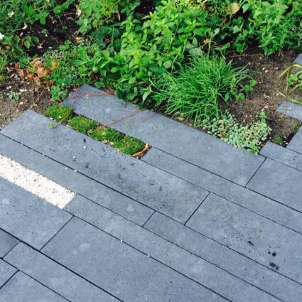 Aanleg particuliere tuin Vennep