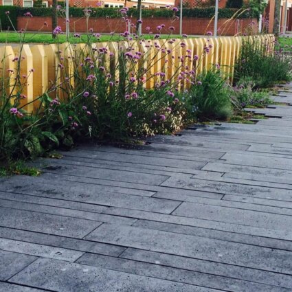 Aanleg particuliere tuin Vennep