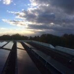 Eerste natuurdak in Nederland met HEEM-substraat