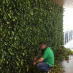 Groene binnenwand oplossing