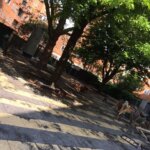 Aanleg tuin Museum Het Schip