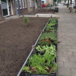 Renovatie voortuinen flatwoningen
