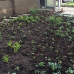 Renovatie voortuinen flatwoningen