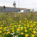 Duurzame bedrijfstuin