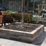 Aanleg Beleeftuin zorgcentrum