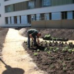 Aanleg Beleeftuin zorgcentrum