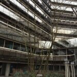 Boomverplanting Stekelbomen Utrecht