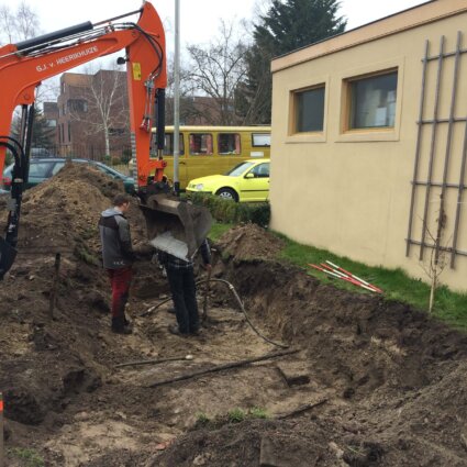 Boomverplanting Stekelbomen Utrecht
