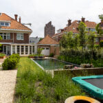 Zwemvijver