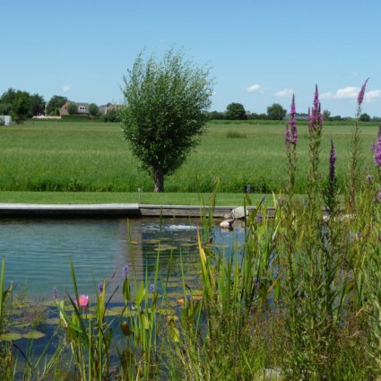 Zwemvijver particulier IJsselstein