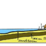 Kamsalamanderpoel