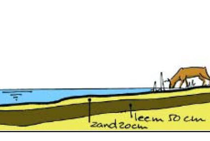 Kamsalamanderpoel