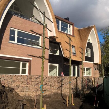 Aanleg binnentuin historische villabouw