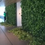 Groene binnenwand oplossing