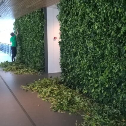 Groene binnenwand oplossing