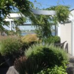 Dakterras