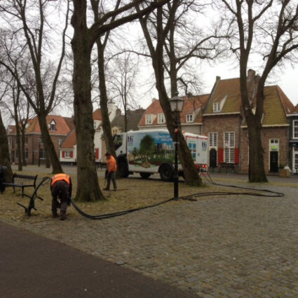 De veelzijdigheid van Boomverzorging