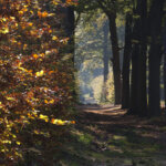 Zuylenstein Amerongen