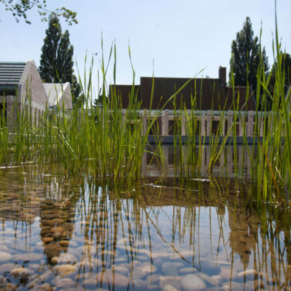 Waterpartijen