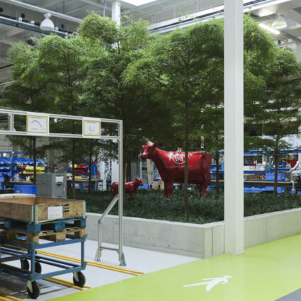 Project interieurbeplanting