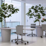 Van Ginkel Interieurbeplanting