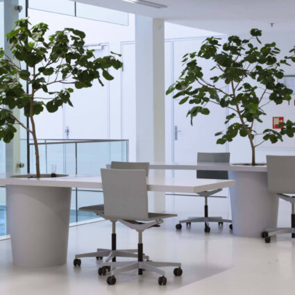 Van Ginkel Interieurbeplanting