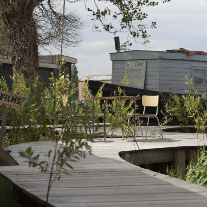 Natuurontwikkeling in Amsterdam