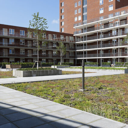 Daktuin Lusthofplein