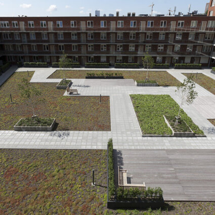 Daktuin Lusthofplein