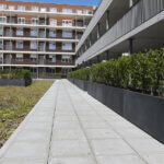 Daktuin Lusthofplein