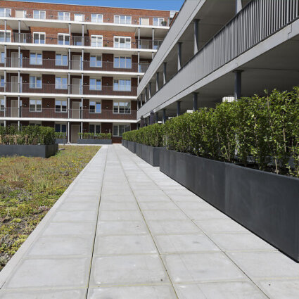 Daktuin Lusthofplein