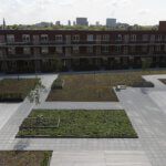 Daktuin Lusthofplein