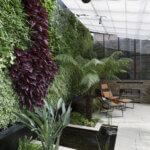 Interieurbeplanter gezocht