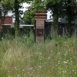 Biodiversiteit in de stad