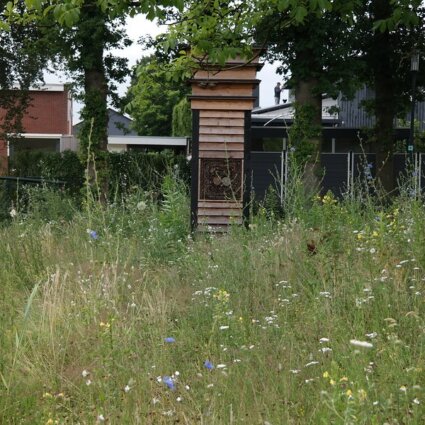 Biodiversiteit in de stad