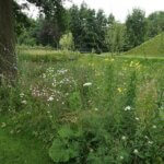 Grachtenzone groene Groenlo