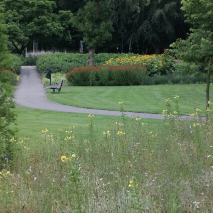 Grachtenzone groene Groenlo