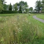 Grachtenzone groene Groenlo