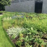 Aanleg museumtuin Voorlinden Wassenaar