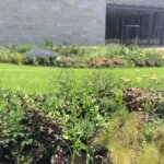Aanleg museumtuin Voorlinden Wassenaar