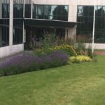 Realisatie buitenruimte kantorencomplex Lightline